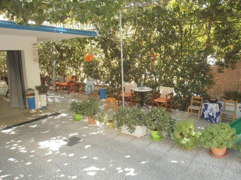 Selfcatering -Studio Helen No 7 卡西罗彼卡多 外观 照片