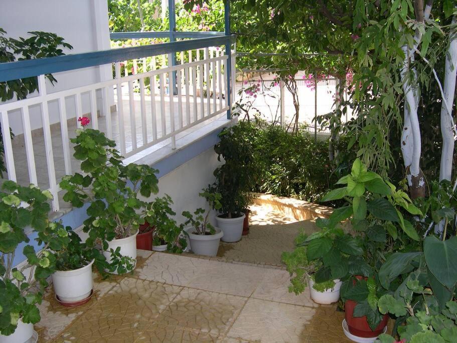 Selfcatering -Studio Helen No 7 卡西罗彼卡多 外观 照片